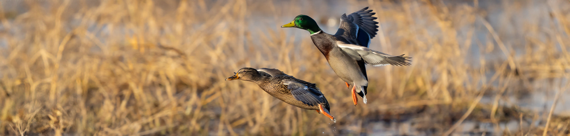 Top Camo Gun Wraps for Duck Hunting